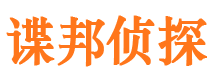 灵寿市调查公司